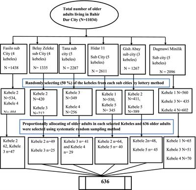 The prevalence of functional disability and associated factors among older adults living in Bahir Dar City, Northwest, Ethiopia: a community-based cross-sectional study